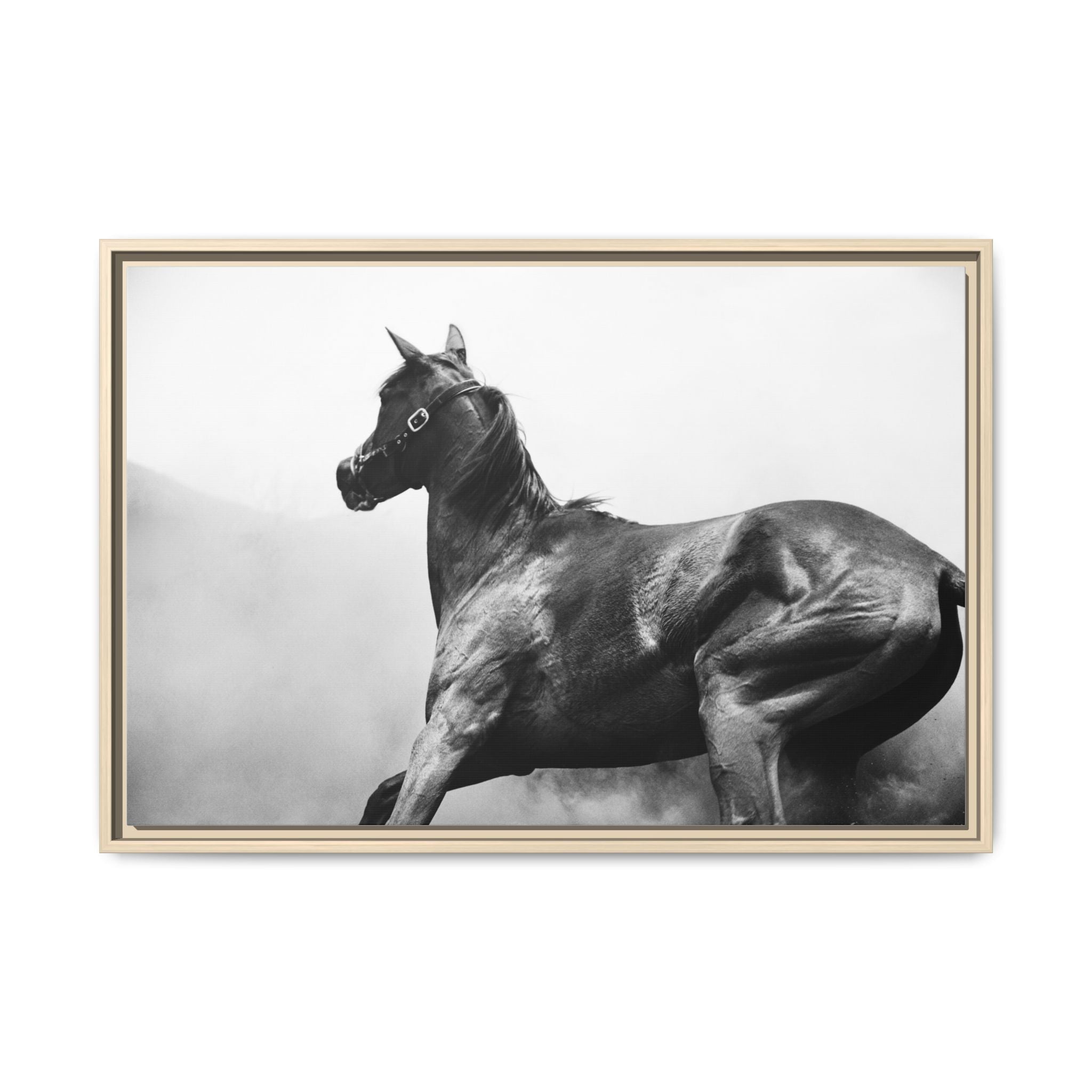 Framed Matte Canvas: Classic Black & White Horse Photography