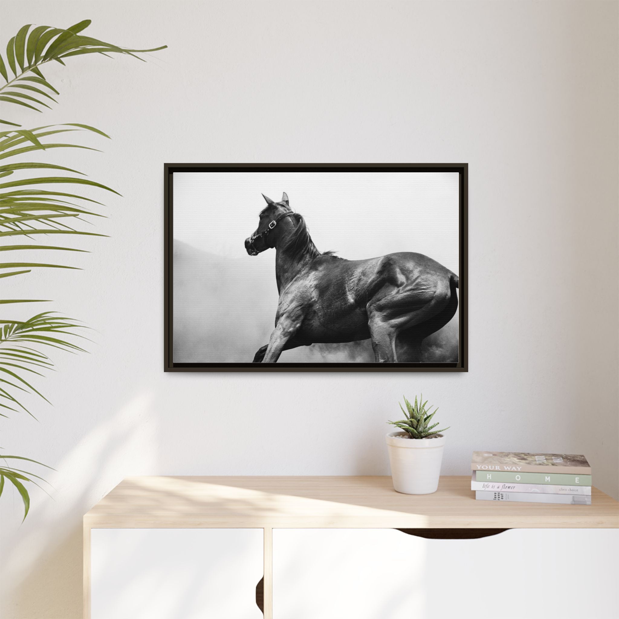 Framed Matte Canvas: Classic Black & White Horse Photography