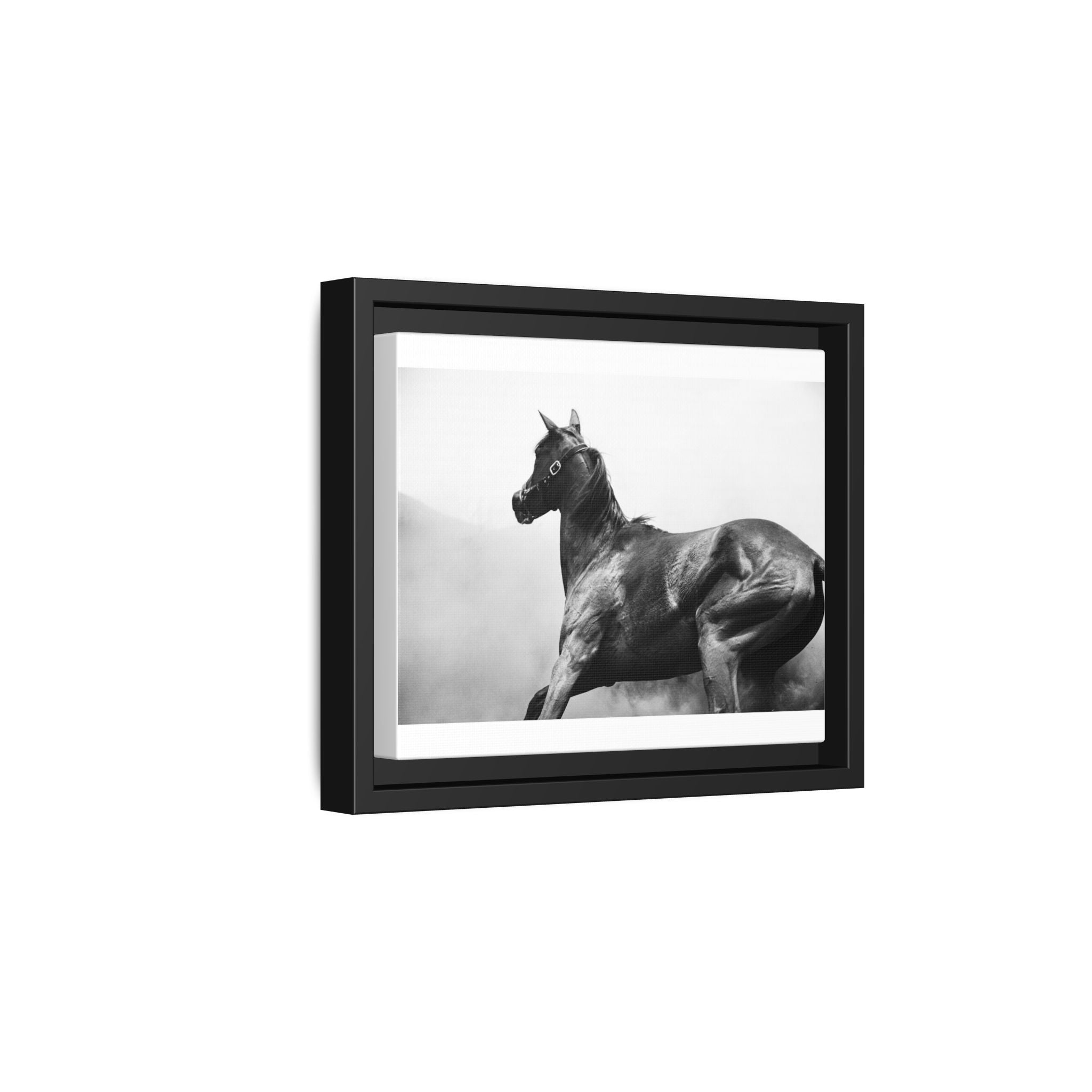 Framed Matte Canvas: Classic Black & White Horse Photography