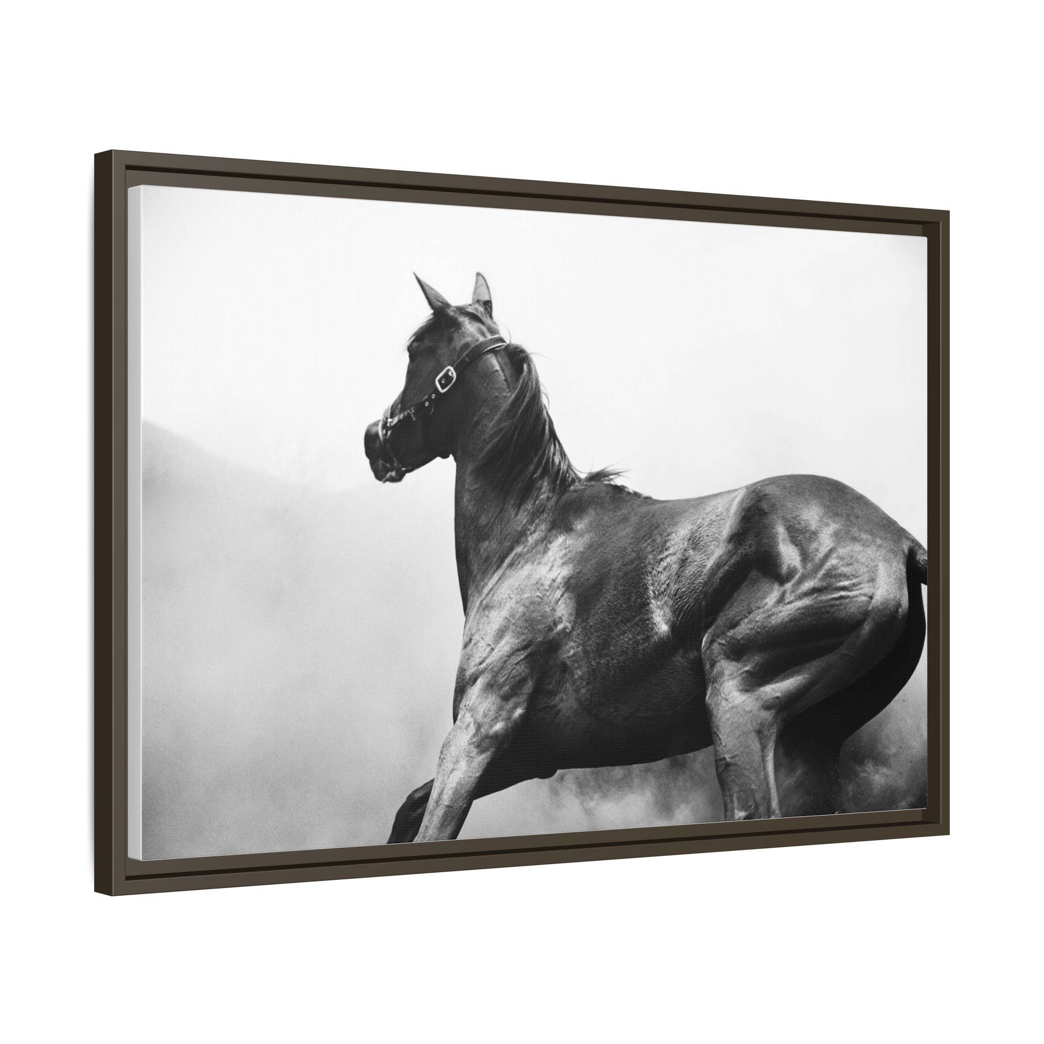 Framed Matte Canvas: Classic Black & White Horse Photography