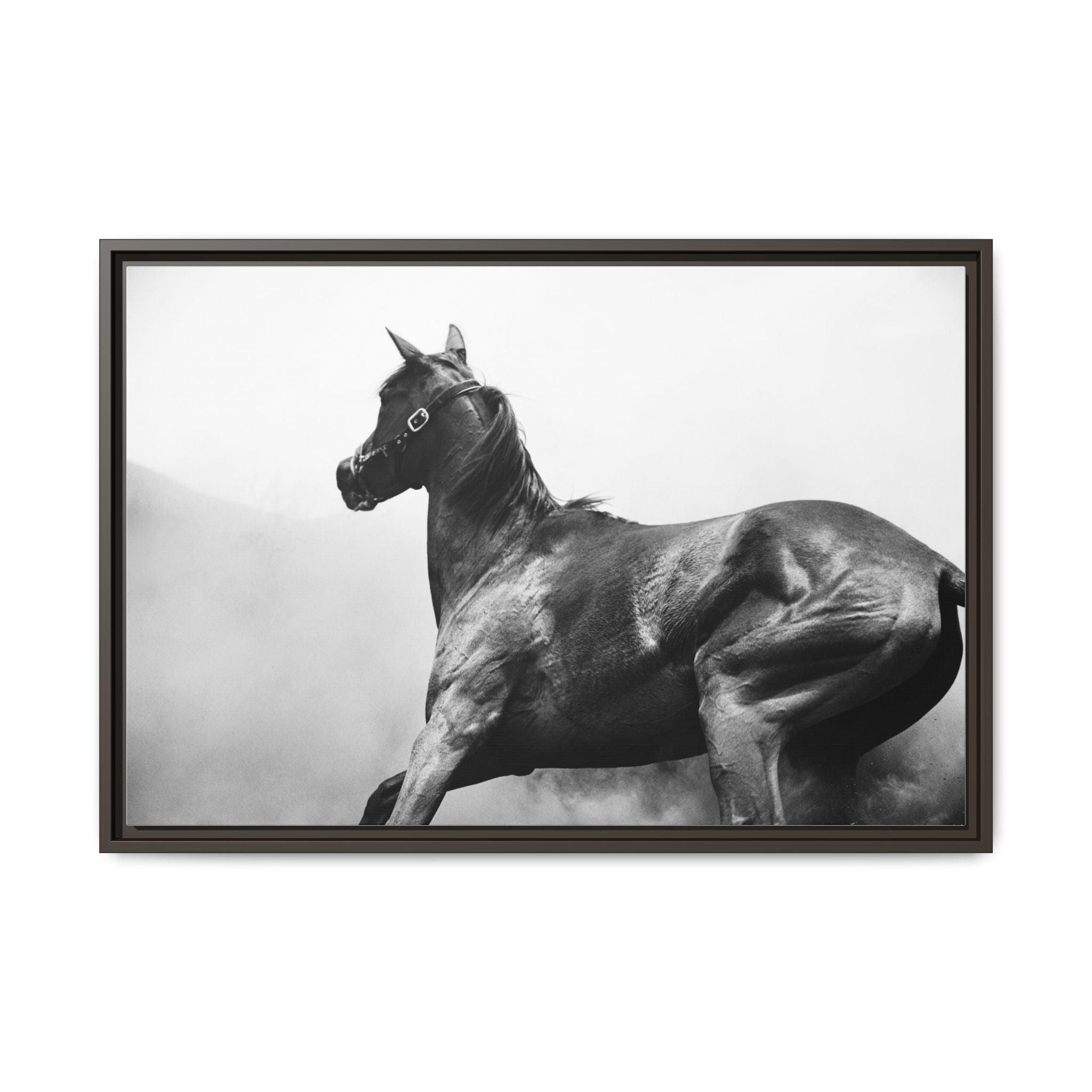 Framed Matte Canvas: Classic Black & White Horse Photography