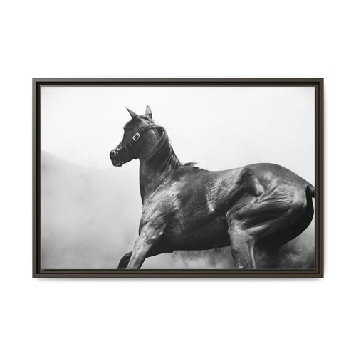 Framed Matte Canvas: Classic Black & White Horse Photography