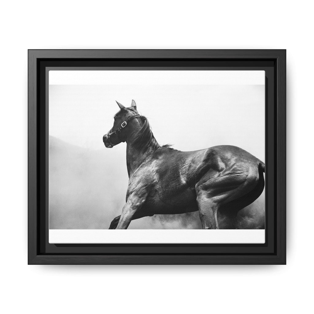 Framed Matte Canvas: Classic Black & White Horse Photography