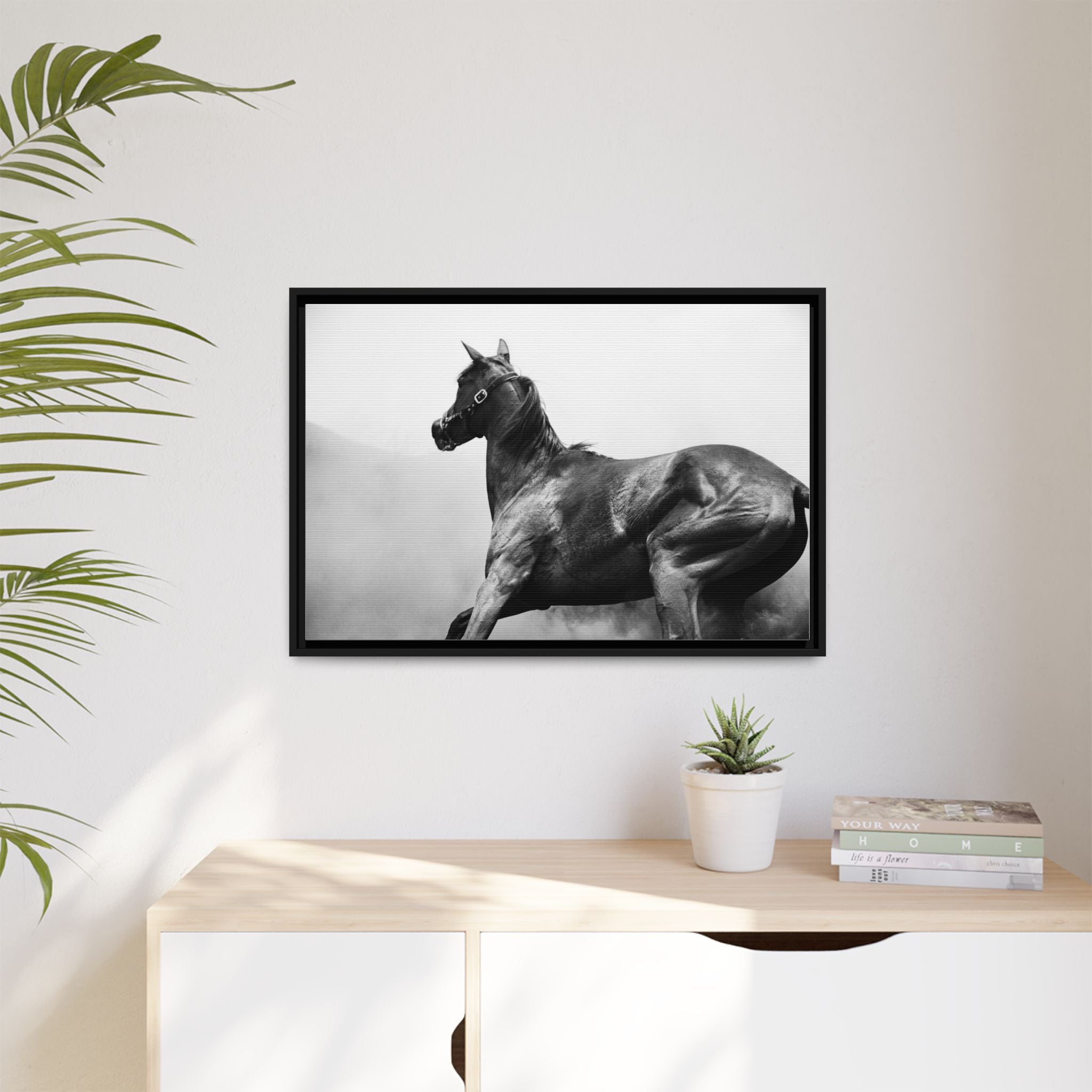 Framed Matte Canvas: Classic Black & White Horse Photography