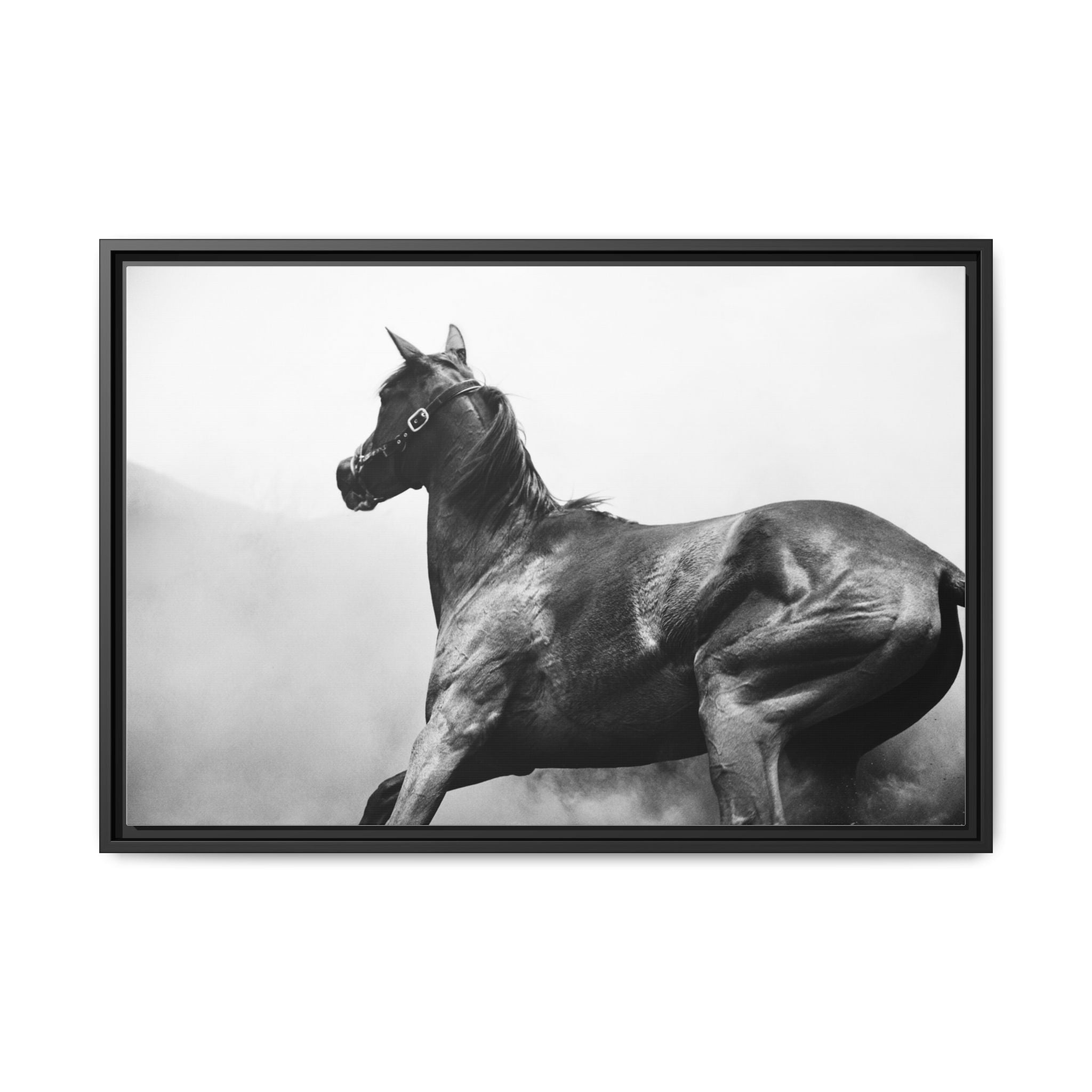 Framed Matte Canvas: Classic Black & White Horse Photography