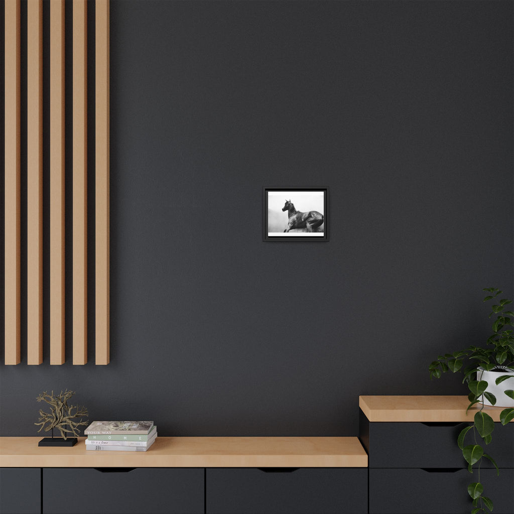 Framed Matte Canvas: Classic Black & White Horse Photography