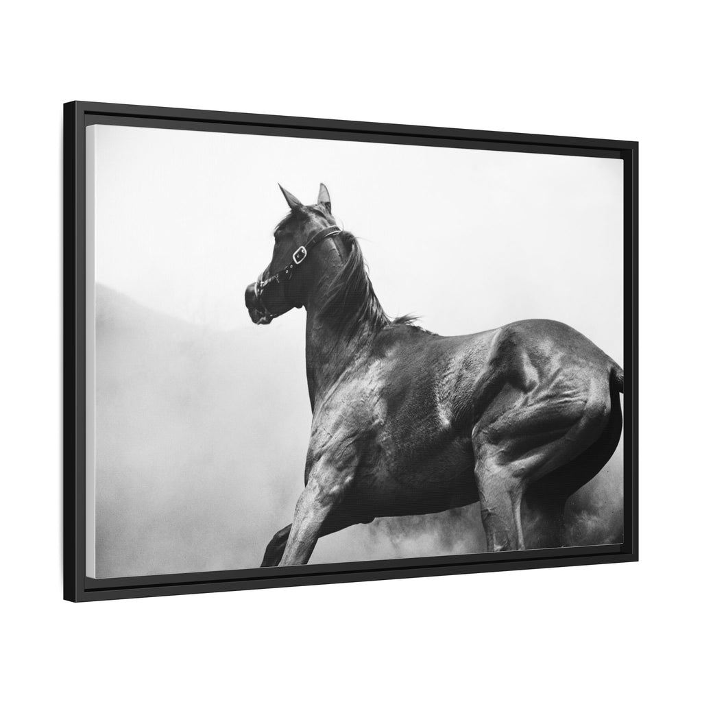 Framed Matte Canvas: Classic Black & White Horse Photography