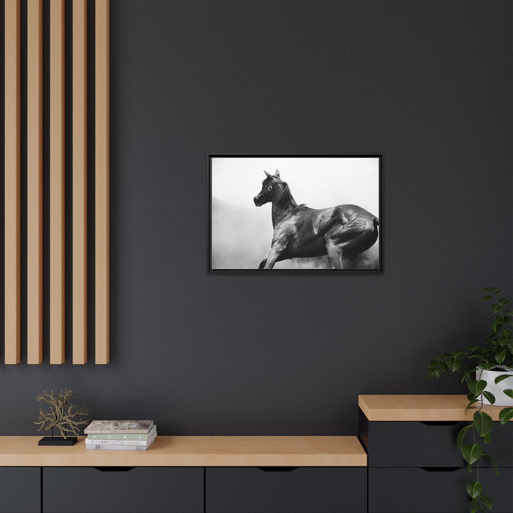 Framed Matte Canvas: Classic Black & White Horse Photography