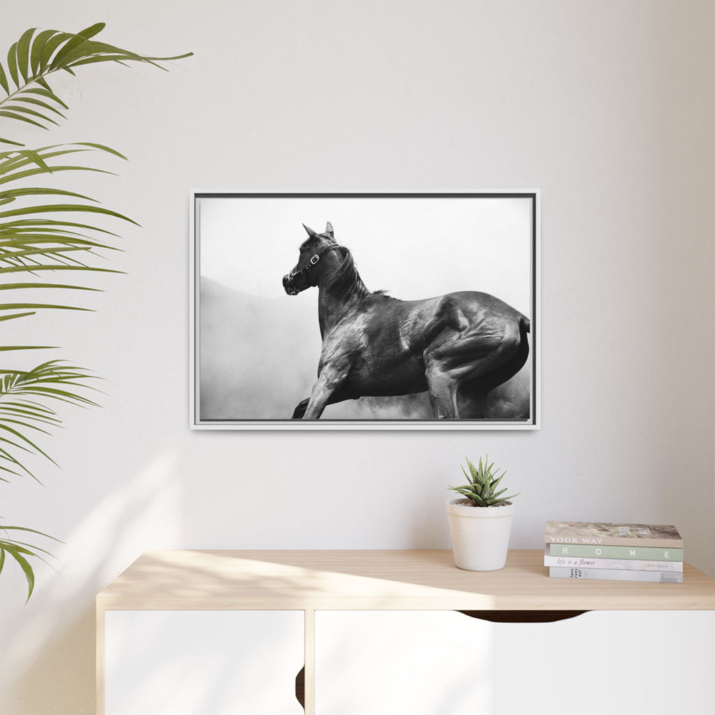 Framed Matte Canvas: Classic Black & White Horse Photography