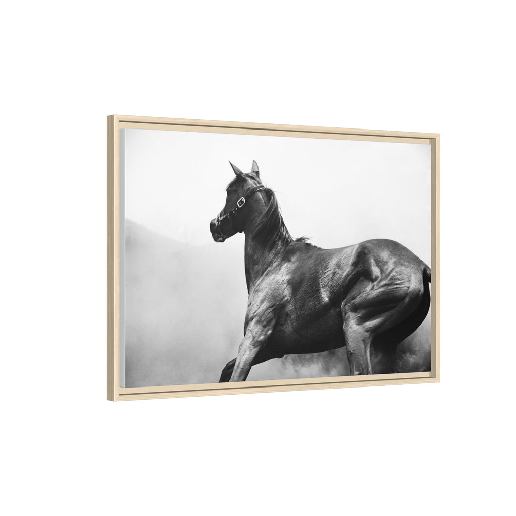 Framed Matte Canvas: Classic Black & White Horse Photography