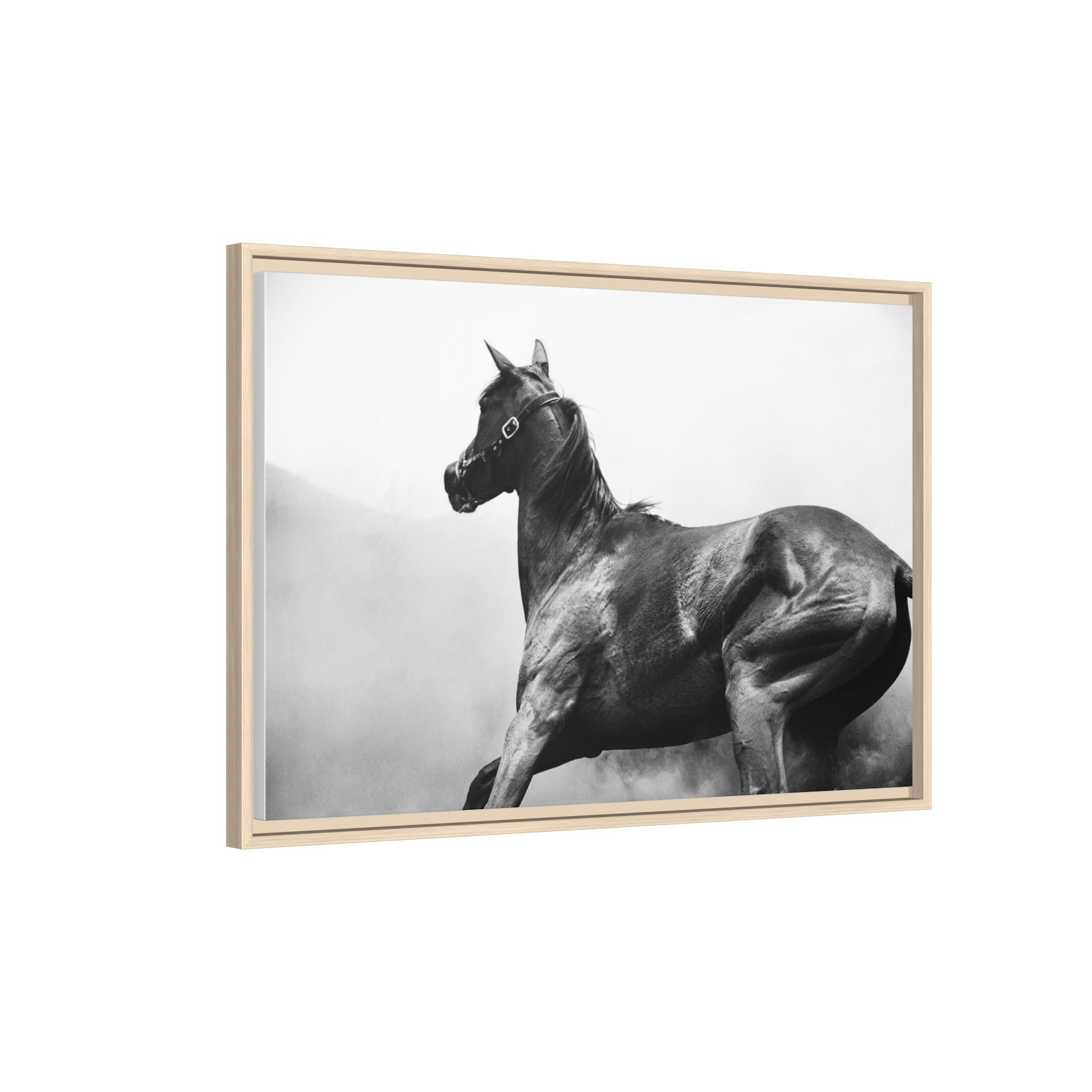 Framed Matte Canvas: Classic Black & White Horse Photography