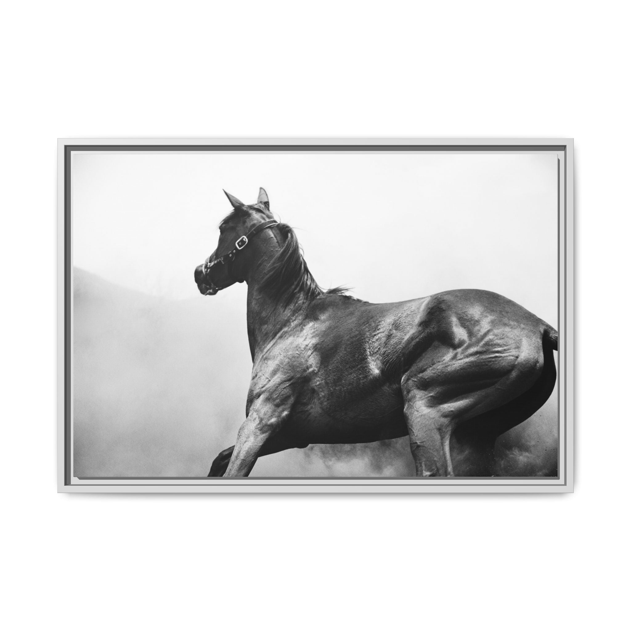 Framed Matte Canvas: Classic Black & White Horse Photography